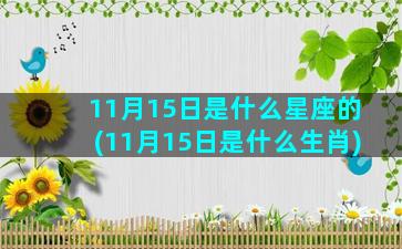 11月15日是什么星座的(11月15日是什么生肖)