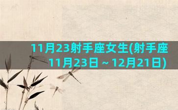 11月23射手座女生(射手座11月23日～12月21日)