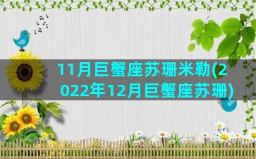 11月巨蟹座苏珊米勒(2022年12月巨蟹座苏珊)