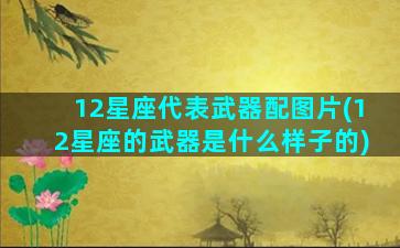 12星座代表武器配图片(12星座的武器是什么样子的)