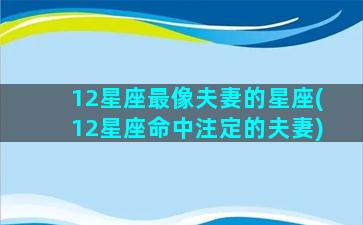 12星座最像夫妻的星座(12星座命中注定的夫妻)