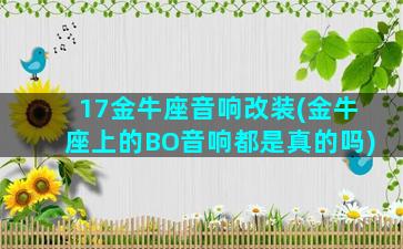 17金牛座音响改装(金牛座上的BO音响都是真的吗)