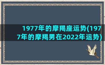 1977年的摩羯座运势(1977年的摩羯男在2022年运势)