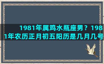 1981年属鸡水瓶座男？1981年农历正月初五阳历是几月几号