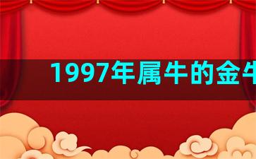 1997年属牛的金牛座