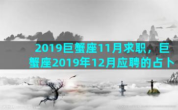 2019巨蟹座11月求职，巨蟹座2019年12月应聘的占卜