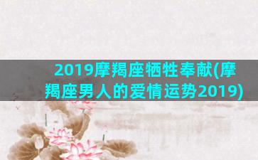 2019摩羯座牺牲奉献(摩羯座男人的爱情运势2019)