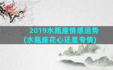 2019水瓶座情感运势(水瓶座花心还是专情)