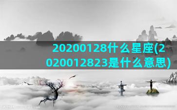 20200128什么星座(2020012823是什么意思)