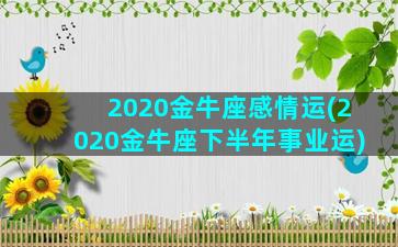 2020金牛座感情运(2020金牛座下半年事业运)