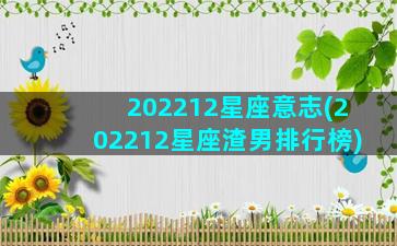 202212星座意志(202212星座渣男排行榜)