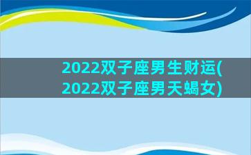 2022双子座男生财运(2022双子座男天蝎女)