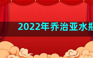 2022年乔治亚水瓶座