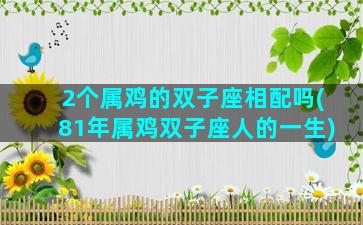 2个属鸡的双子座相配吗(81年属鸡双子座人的一生)