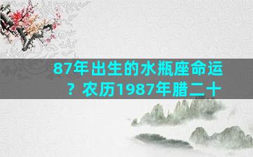 87年出生的水瓶座命运？农历1987年腊二十