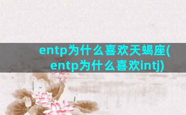 entp为什么喜欢天蝎座(entp为什么喜欢intj)