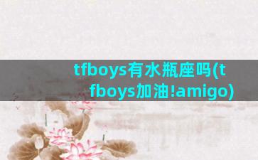 tfboys有水瓶座吗(tfboys加油!amigo)