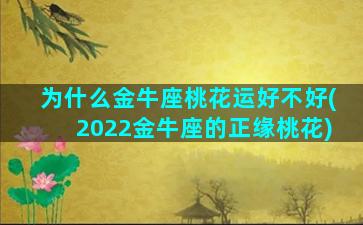 为什么金牛座桃花运好不好(2022金牛座的正缘桃花)