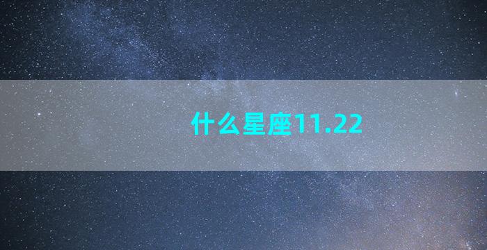 什么星座11.22