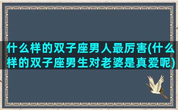 什么样的双子座男人最厉害(什么样的双子座男生对老婆是真爱呢)