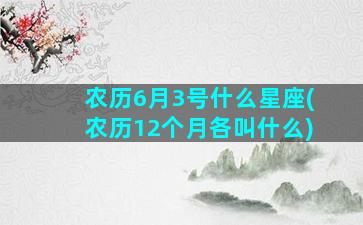 农历6月3号什么星座(农历12个月各叫什么)