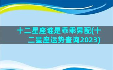 十二星座谁是乖乖男配(十二星座运势查询2023)