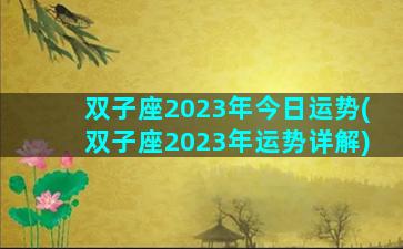 双子座2023年今日运势(双子座2023年运势详解)