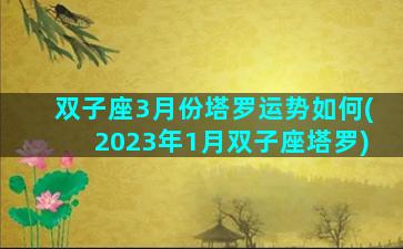 双子座3月份塔罗运势如何(2023年1月双子座塔罗)