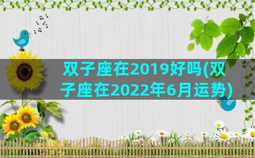 双子座在2019好吗(双子座在2022年6月运势)