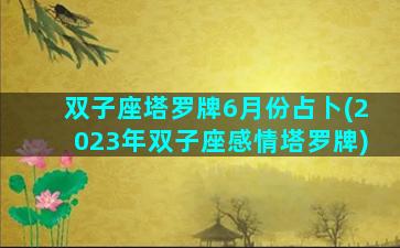 双子座塔罗牌6月份占卜(2023年双子座感情塔罗牌)