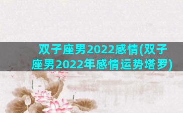 双子座男2022感情(双子座男2022年感情运势塔罗)