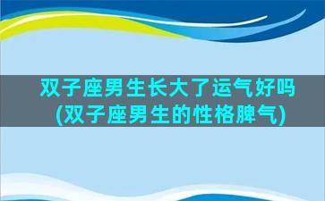 双子座男生长大了运气好吗(双子座男生的性格脾气)