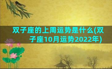 双子座的上周运势是什么(双子座10月运势2022年)