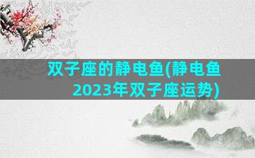 双子座的静电鱼(静电鱼2023年双子座运势)