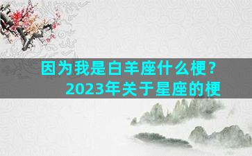 因为我是白羊座什么梗？2023年关于星座的梗