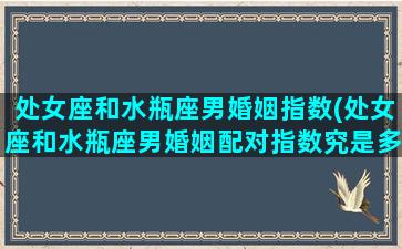 处女座和水瓶座男婚姻指数(处女座和水瓶座男婚姻配对指数究是多少)