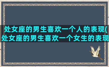 处女座的男生喜欢一个人的表现(处女座的男生喜欢一个女生的表现)