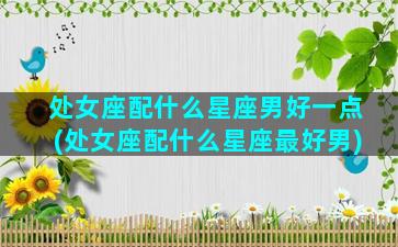 处女座配什么星座男好一点(处女座配什么星座最好男)