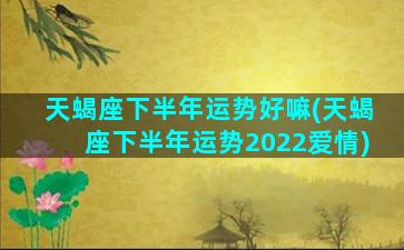 天蝎座下半年运势好嘛(天蝎座下半年运势2022爱情)