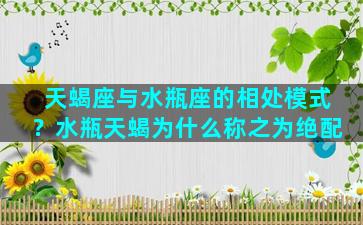 天蝎座与水瓶座的相处模式？水瓶天蝎为什么称之为绝配