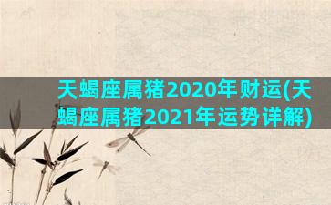 天蝎座属猪2020年财运(天蝎座属猪2021年运势详解)