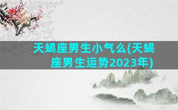 天蝎座男生小气么(天蝎座男生运势2023年)