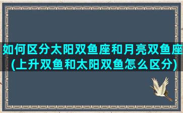 如何区分太阳双鱼座和月亮双鱼座(上升双鱼和太阳双鱼怎么区分)