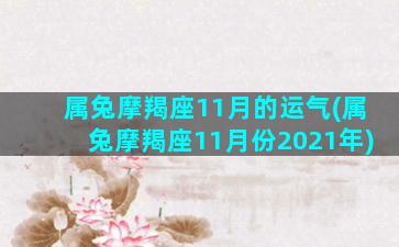 属兔摩羯座11月的运气(属兔摩羯座11月份2021年)