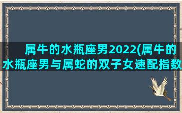 属牛的水瓶座男2022(属牛的水瓶座男与属蛇的双子女速配指数)