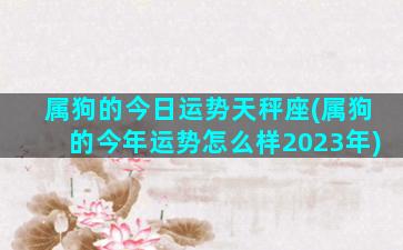 属狗的今日运势天秤座(属狗的今年运势怎么样2023年)