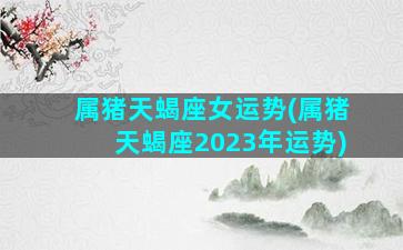 属猪天蝎座女运势(属猪天蝎座2023年运势)