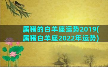 属猪的白羊座运势2019(属猪白羊座2022年运势)