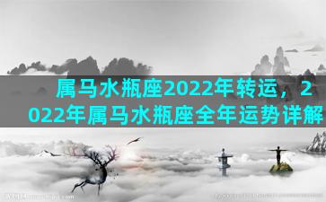 属马水瓶座2022年转运，2022年属马水瓶座全年运势详解