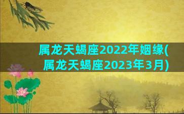 属龙天蝎座2022年姻缘(属龙天蝎座2023年3月)